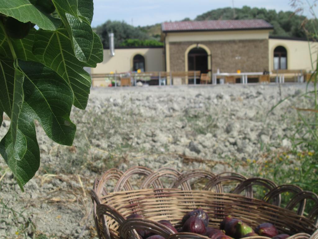 Agriturismo Donna Beatrice Bianco Extérieur photo